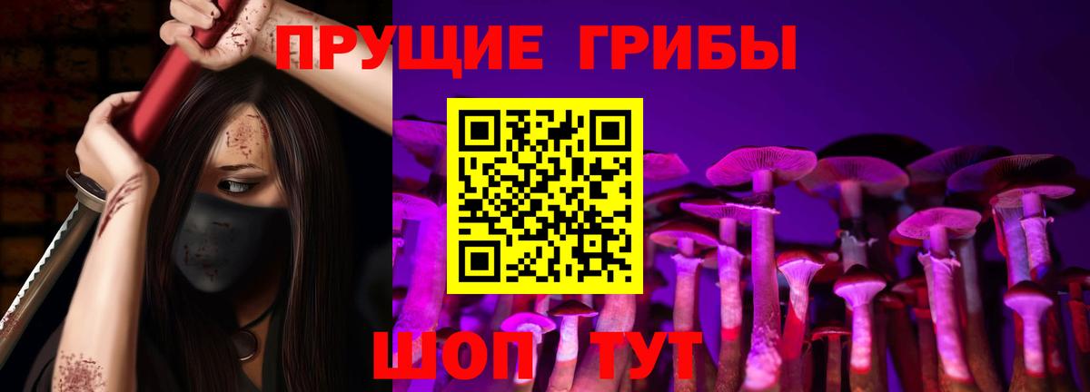 Дмитров  Галлюциногенные грибы мицелий  Вход с VPN 